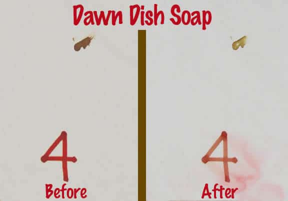 Dawn Dish Soap Blood Removal Test - trying to get dried blood out of sheet material
