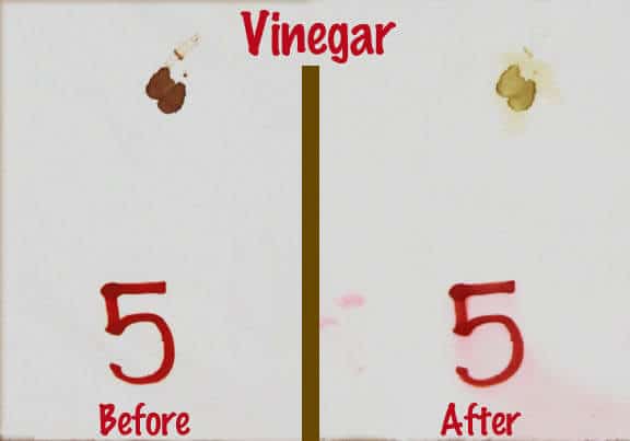 Vinegar Blood Spot Removal Test - getting the old blood out of sheets