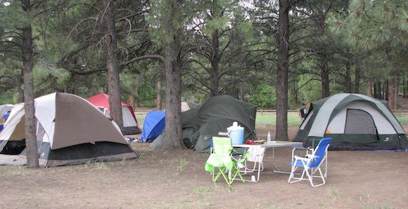 Camping tents set up in the forest. #InterestingHobby #Camping #TentCamping