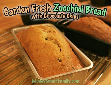 Several loaves of fresh zucchini bread with chocolate chips sitting in silver and black metal loaf pans.