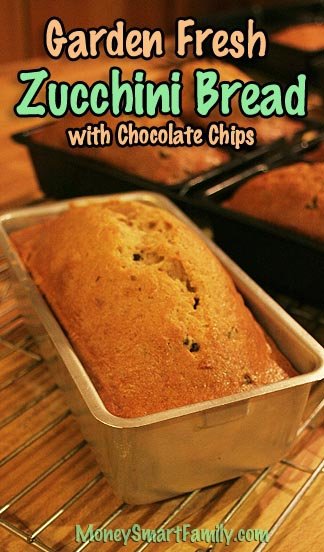 Zuchini Bread Recipe 
 - Several loaves of fresh zucchini bread with chocolate chips sitting in silver and black metal loaf pans.