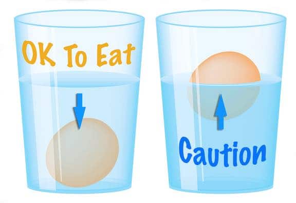 Egg Float Test - brown eggs in a glass of water