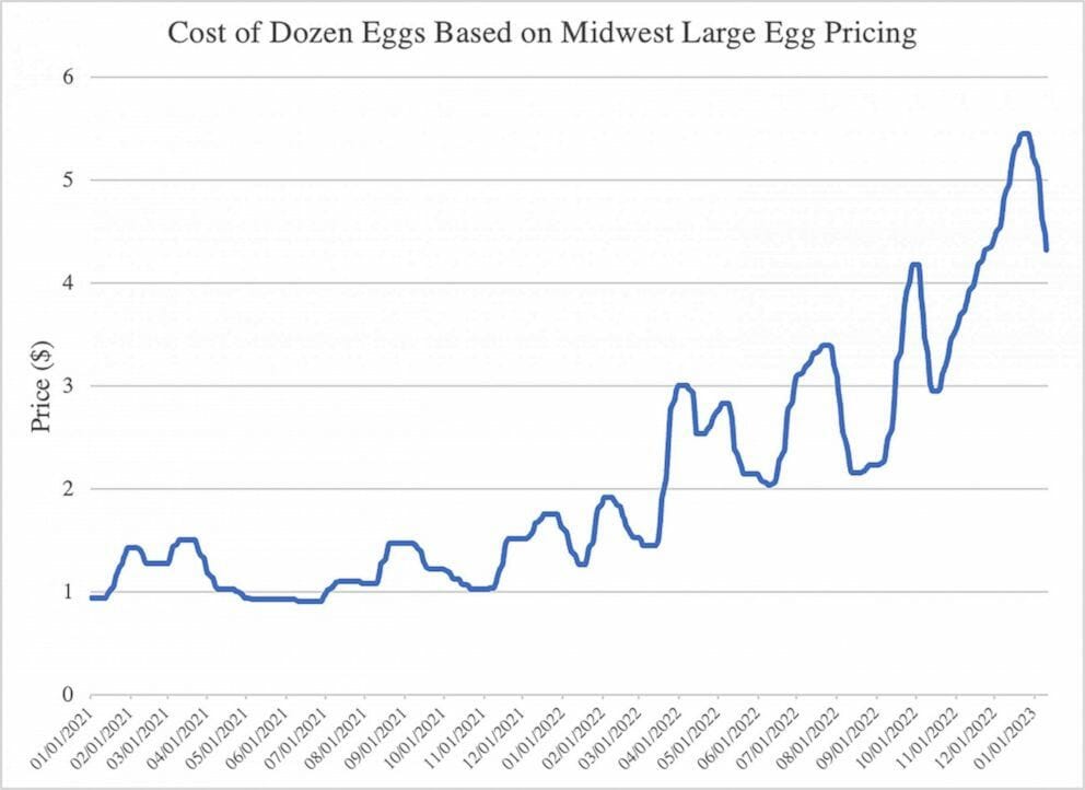 Egg price Wholesale from 2021-2023