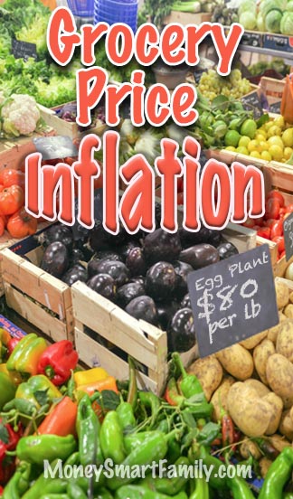 Surviving Grocery Inflation! How to Shop Smarter and Save When Prices Skyrocket 5 When grocery prices increase, here's how to stay in your grocery budget!