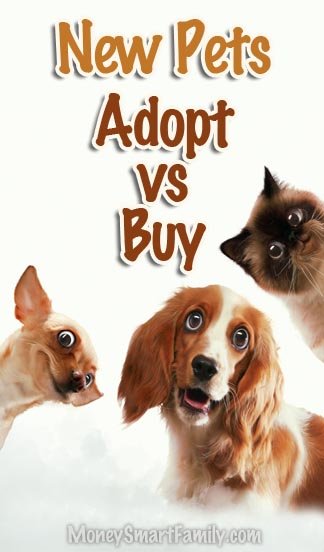 Should You Adopt a Pet Rather than Buy One? Here's costs of pet ownership and where to adopt one! 