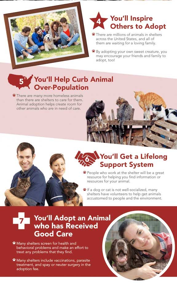 Pet Rescue Infographic 2 - benefits of adopting a pet