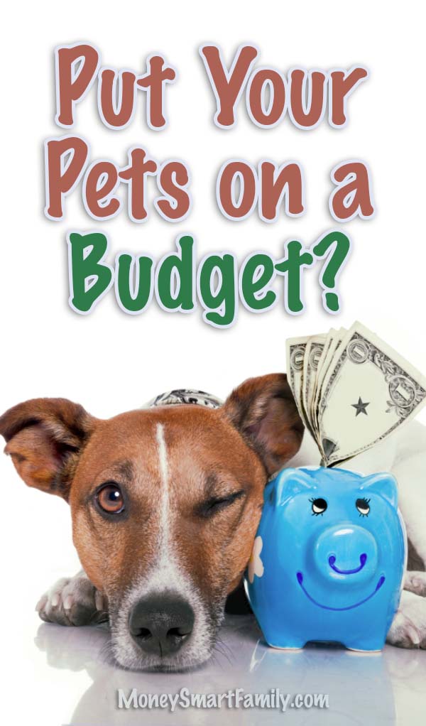 Pets on a budget - Why you should have them & how much they cost. #PetsBudget #PetsSick #PetsTime