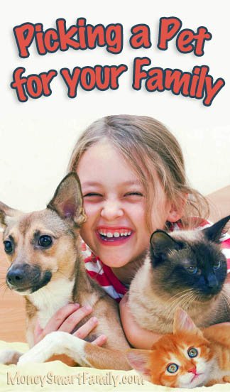 Easy pets for kids a girl holding a dog and cat