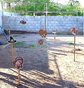 Thanksgiving turkey shoot targets on wooden stakes.