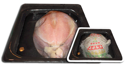 Brining a turkey to defrost it in the kitchen sink