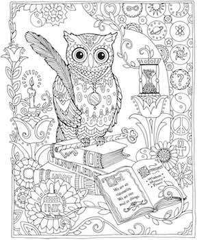 Dover Adult Coloring book pages.