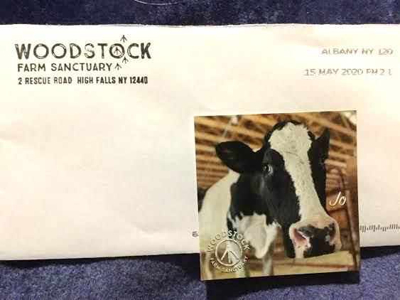woodstock farm free sticker